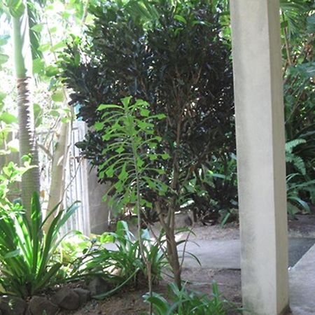 מלון באסטר Culture House מראה חיצוני תמונה