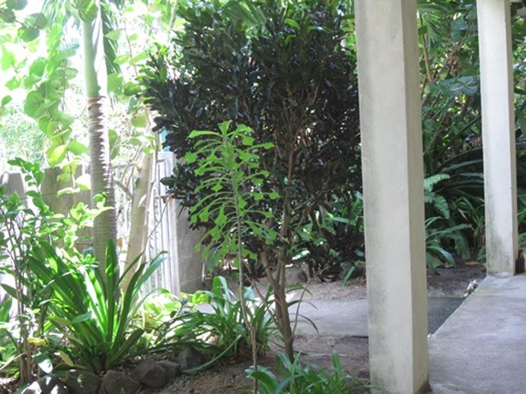 מלון באסטר Culture House מראה חיצוני תמונה